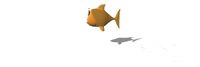 fish_outofwater_hr.jpg