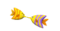 fish_kiss_sw.gif