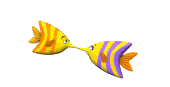 fish_kiss_mw.gif
