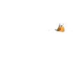 fish_jumping_mw.gif