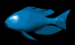 cartoon_tropical_fish_a_sb.gif