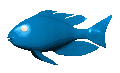 cartoon_tropical_fish_a_mc.gif