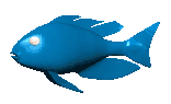 cartoon_tropical_fish_a_lc.gif