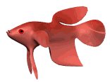 cartoon_beta_swimming_lw.gif