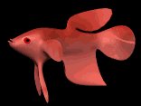 cartoon_beta_swimming_lb.gif