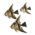 angelfish_school_sw.gif