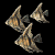 angelfish_school_sb.gif