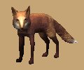 red_fox_looking_mc.gif