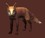 red_fox_looking_lc.gif