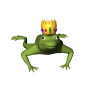royal_frog_blinking_hr.jpg