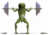 frogsquats_sw.gif