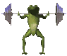 frogsquats_sc.gif