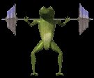 frogsquats_lc.gif