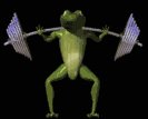frogsquats_lb.gif