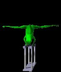 frogsplits_lc.gif
