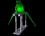 frognastics_lc.gif