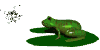 frogfeast2_sw.gif