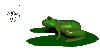 frogfeast2_sc.gif