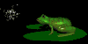 frogfeast2_sb.gif