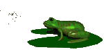 frogfeast2_mc.gif