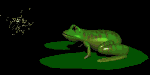 frogfeast2_mb.gif