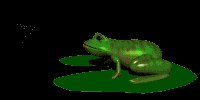 frogfeast2_lc.gif