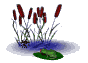 frogfeast1_sw.gif
