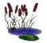 frogfeast1_sc.gif