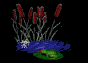 frogfeast1_sb.gif
