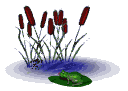 frogfeast1_mw.gif