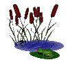 frogfeast1_mc.gif