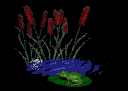 frogfeast1_mb.gif