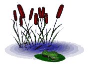 frogfeast1_lw.gif