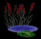 frogfeast1_lc.gif