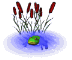 frog_in_pond_in_pond_sw.gif