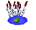 frog_in_pond_in_pond_sc.gif