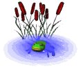 frog_in_pond_in_pond_mw.gif