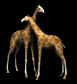 giraffes_rub_necks_sb.gif