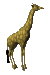 giraffe_lookaround_sc.gif