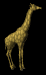giraffe_lookaround_sb.gif