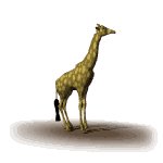 giraffe_lookaround_mw.gif