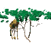 giraffe1_sc.gif