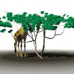 giraffe1_mw.gif