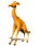 cartoon_giraffe_looking_tw.gif