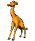 cartoon_giraffe_looking_sc.gif