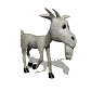 billy_goat_walking_sw.gif