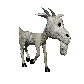 billy_goat_walking_sc.gif