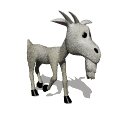 billy_goat_walking_mw.gif