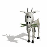 billy_goat_eating_grass_lw.gif