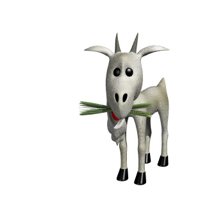 billy_goat_eating_grass_hr.jpg